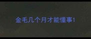金毛几个月才能懂事
