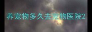 养宠物多久去宠物医院