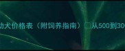 满月金毛幼犬价格表附饲养指南从500到3000元全
