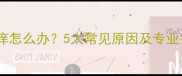 小狗身上痒怎么办5大常见原因及专业护理指南