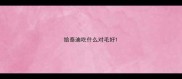 给泰迪吃什么对毛好
