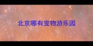 北京哪有宠物游乐园