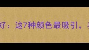 拉布拉多犬视觉偏好这7种颜色最吸引养宠家庭必看指南