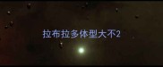 拉布拉多体型大不