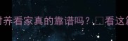 边牧在农村养看家真的靠谱吗看这篇就懂了