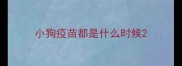 小狗疫苗都是什么时候