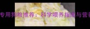 怀孕哈士奇专用狗粮推荐科学喂养指南与营养搭配秘籍