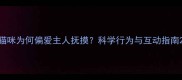 猫咪为何偏爱主人抚摸科学行为与互动指南