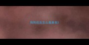 狗狗疫苗怎么看真假