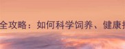 古牧哈士奇混血犬全攻略如何科学饲养健康护理及性格培养指南
