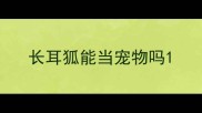 长耳狐能当宠物吗