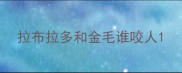 拉布拉多和金毛谁咬人