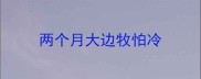 两个月大边牧怕冷