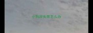 小狗尿失禁怎么办
