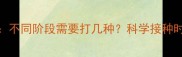 猫咪疫苗全攻略不同阶段需要打几种科学接种时间表及注意事项