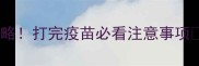 德牧疫苗后护理全攻略打完疫苗必看注意事项附科学养护指南