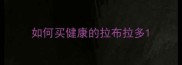 如何买健康的拉布拉多