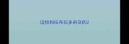 边牧和拉布拉多杂交的