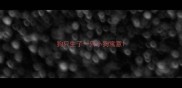 狗只生了一只小狗寓意