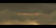 6个月狗还能买吗