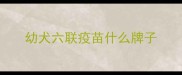 幼犬六联疫苗什么牌子