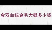 金双血统金毛大概多少钱