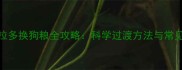 拉布拉多换狗粮全攻略科学过渡方法与常见误区