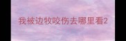 我被边牧咬伤去哪里看