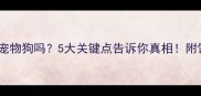 高加索犬是宠物狗吗5大关键点告诉你真相附饲养全攻略