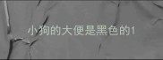 小狗的大便是黑色的