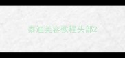 泰迪美容教程头部