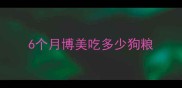 6个月博美吃多少狗粮