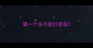 猫一个多月就打疫苗