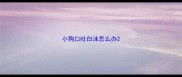 小狗口吐白沫怎么办