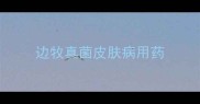 边牧真菌皮肤病用药