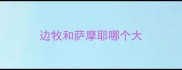 边牧和萨摩耶哪个大