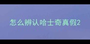 怎么辨认哈士奇真假