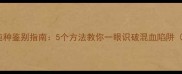 金毛幼犬纯种鉴别指南5个方法教你一眼识破混血陷阱附对比图