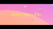 刚出生小狗怎么养活