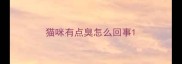 猫咪有点臭怎么回事