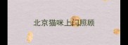 北京猫咪上门照顾