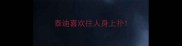 泰迪喜欢往人身上扑