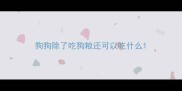 狗狗除了吃狗粮还可以吃什么
