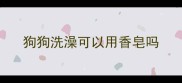 狗狗洗澡可以用香皂吗