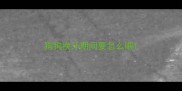 狗狗换牙期间要怎么喂