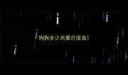 狗狗多少天要打疫苗