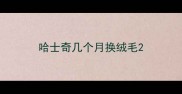 哈士奇几个月换绒毛