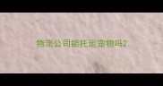 物流公司能托运宠物吗