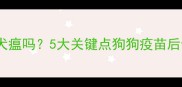 打完疫苗会得犬瘟吗5大关键点狗狗疫苗后健康防护指南