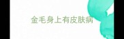 金毛身上有皮肤病